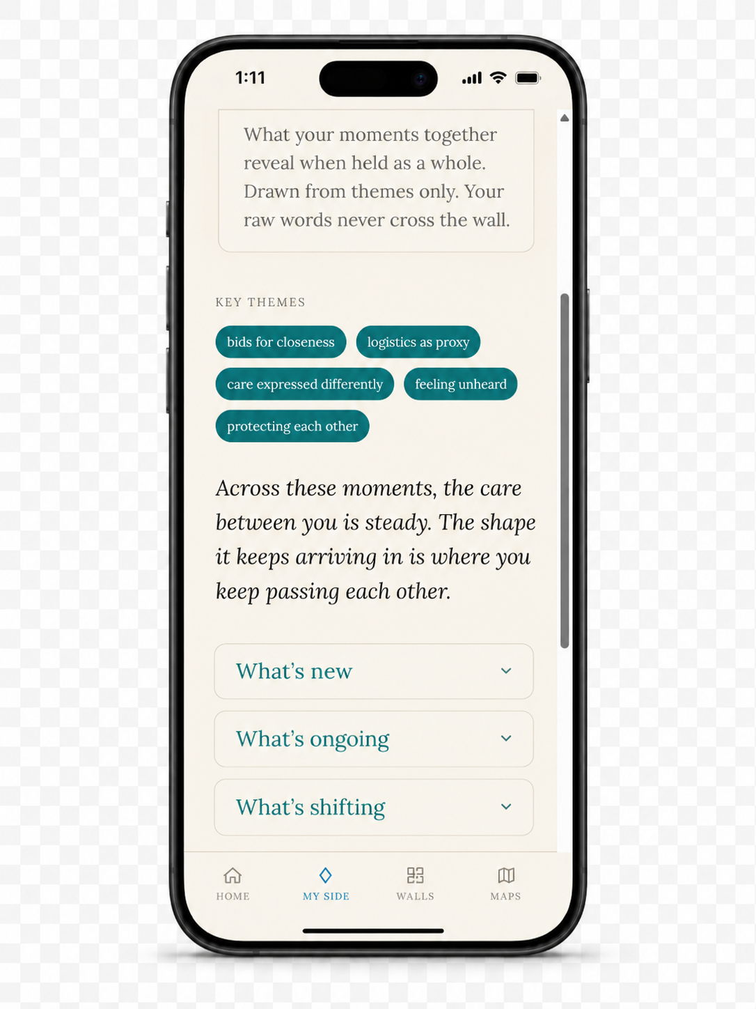 Mirror screen showing recurring themes and grouped reflection panels